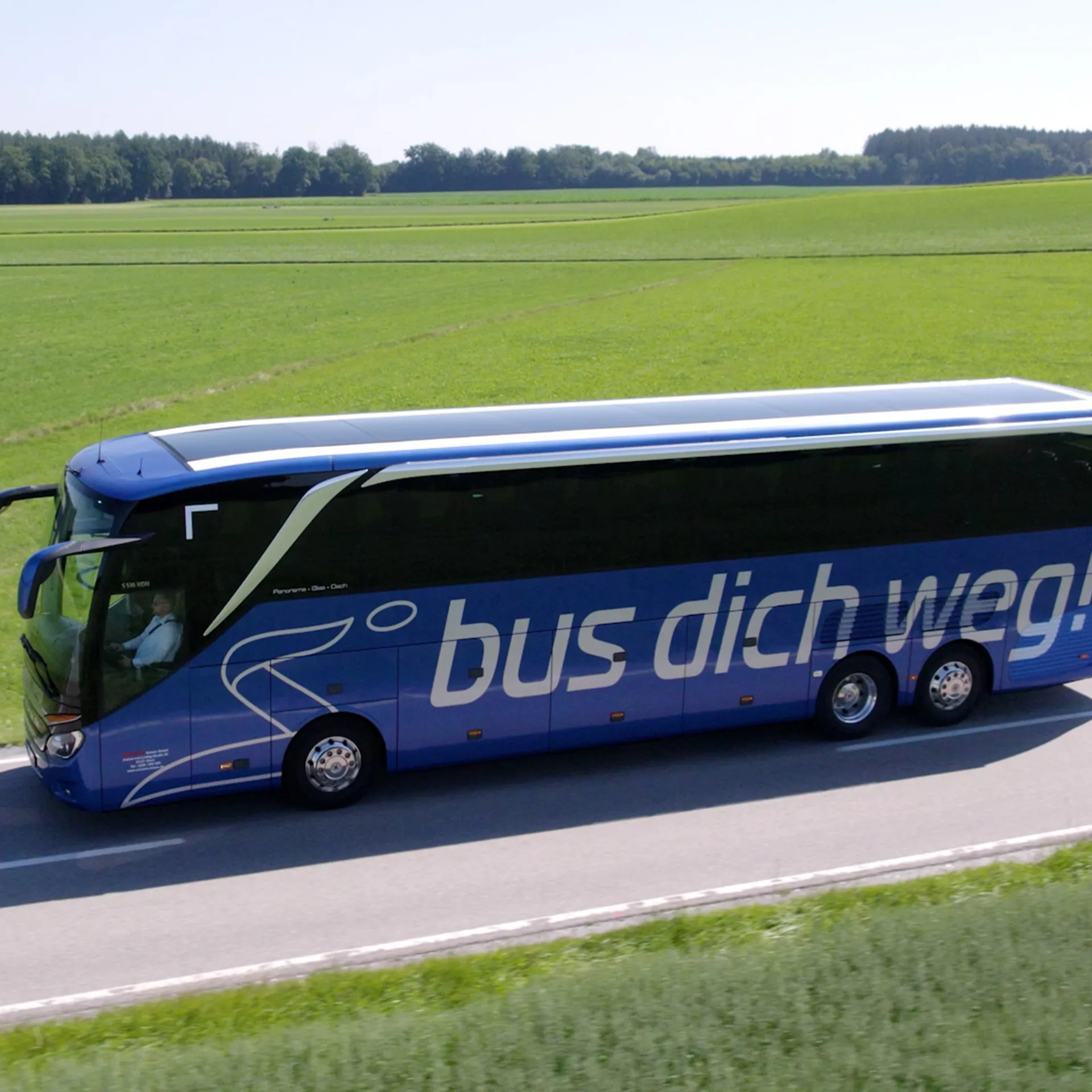 "Bus dich weg!" Bus auf Wiese