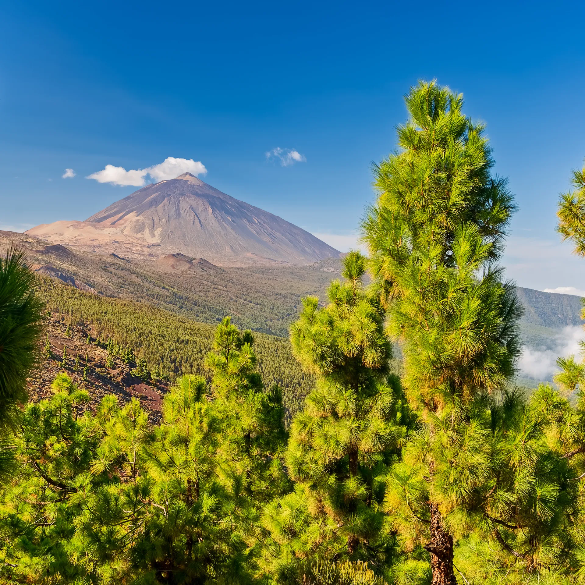 Teneriffa