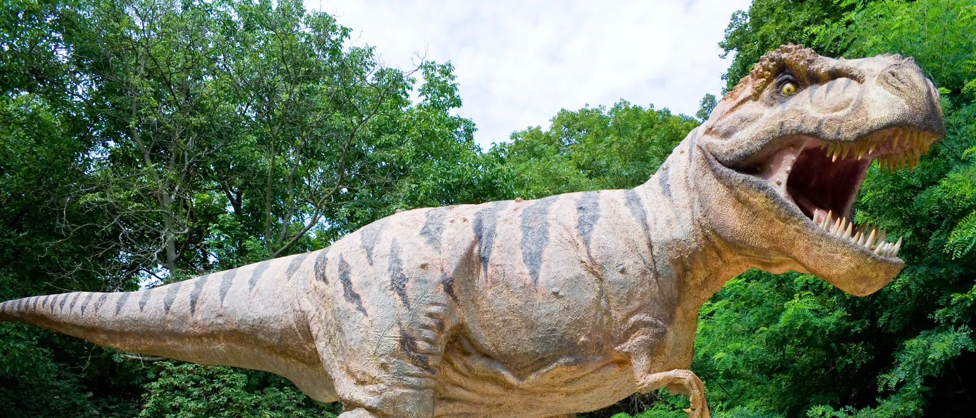 Dinosaurier