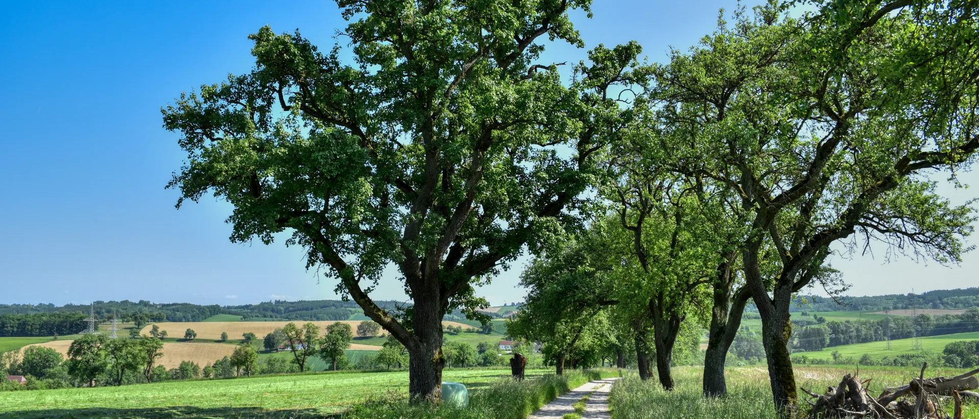 Das Mostviertel in Niederösterreich