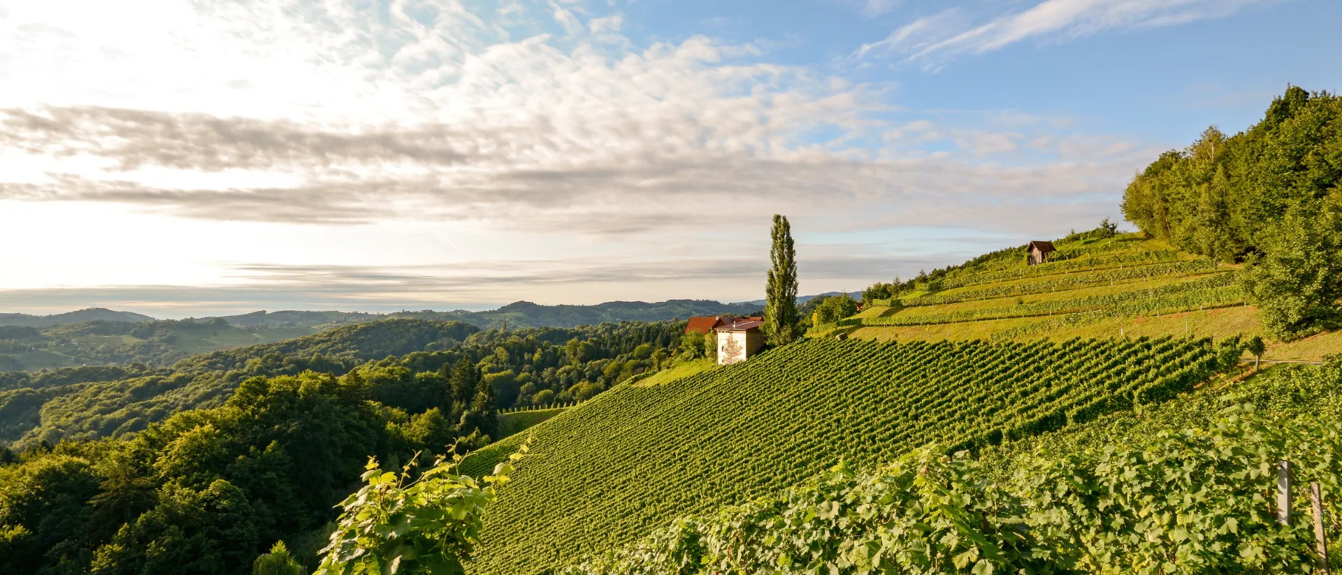 Steiermark