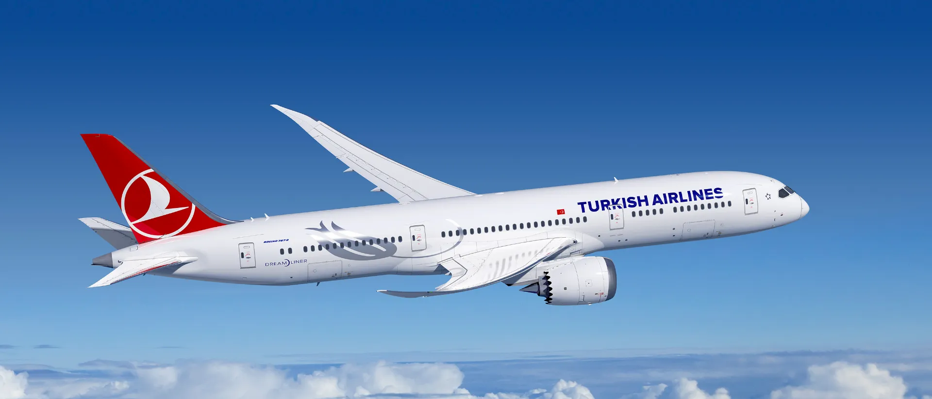 Flugzeug der Turkish Airlines