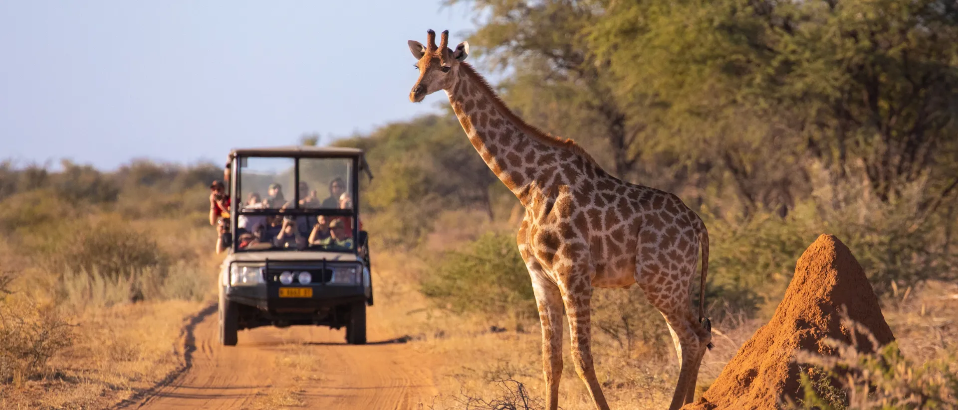 Serengeti-Nationalpark