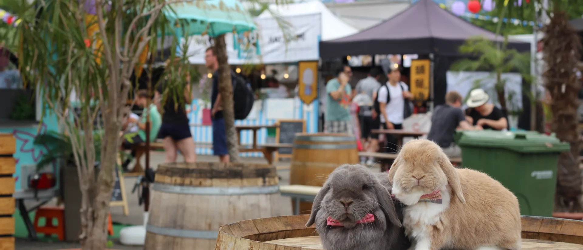 Conigli al Food Festival