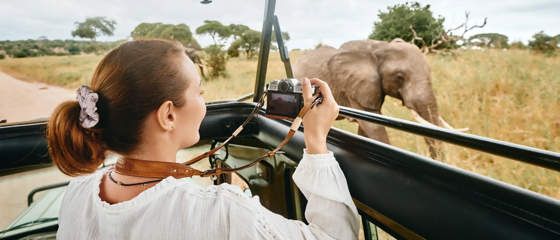Safari