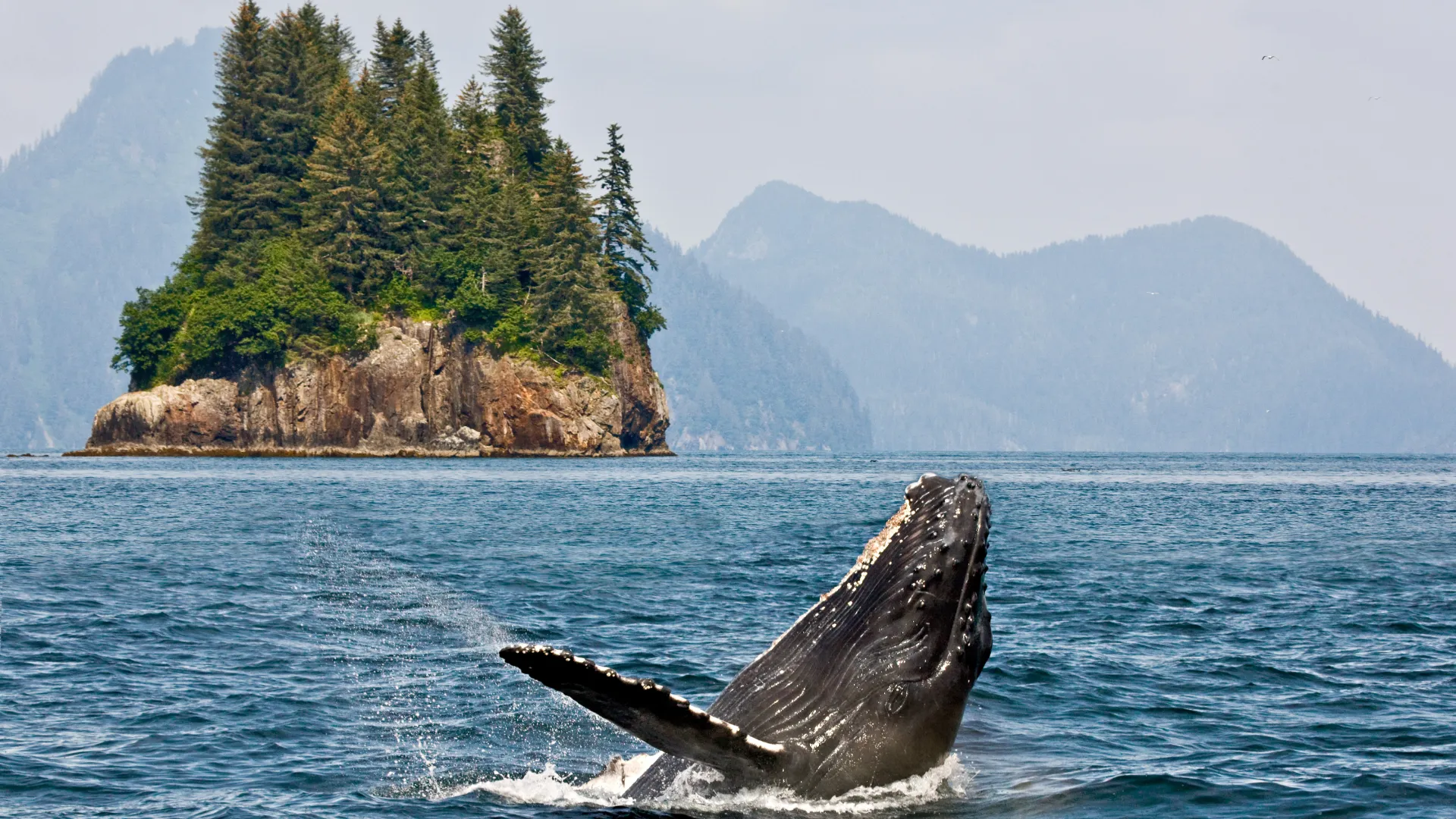 Alaska