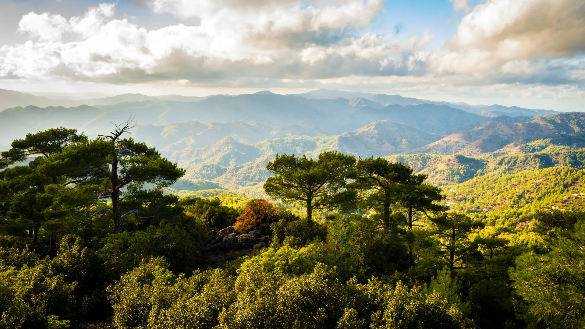 Zypern Troodos Gebirge