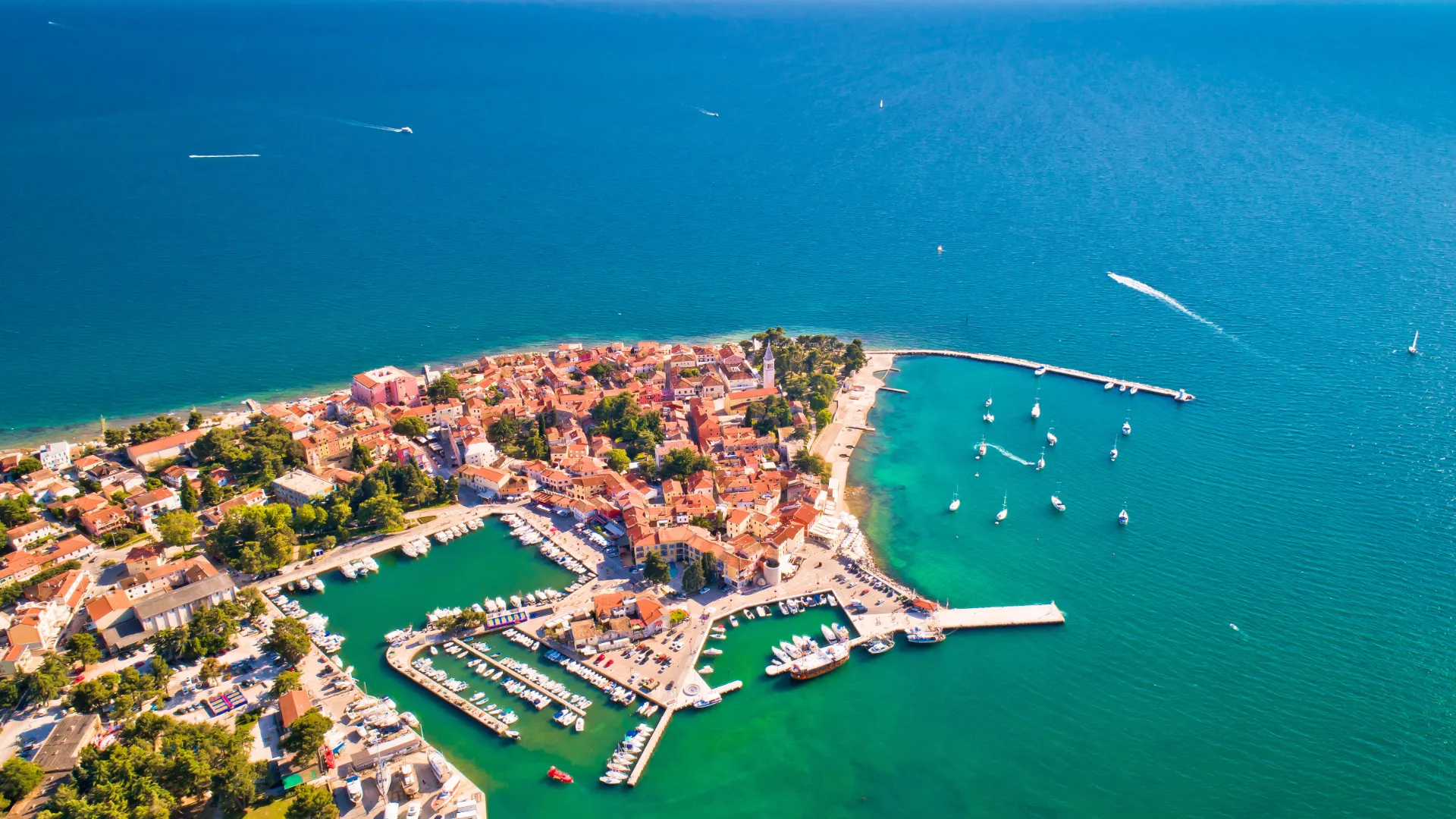 Novigrad