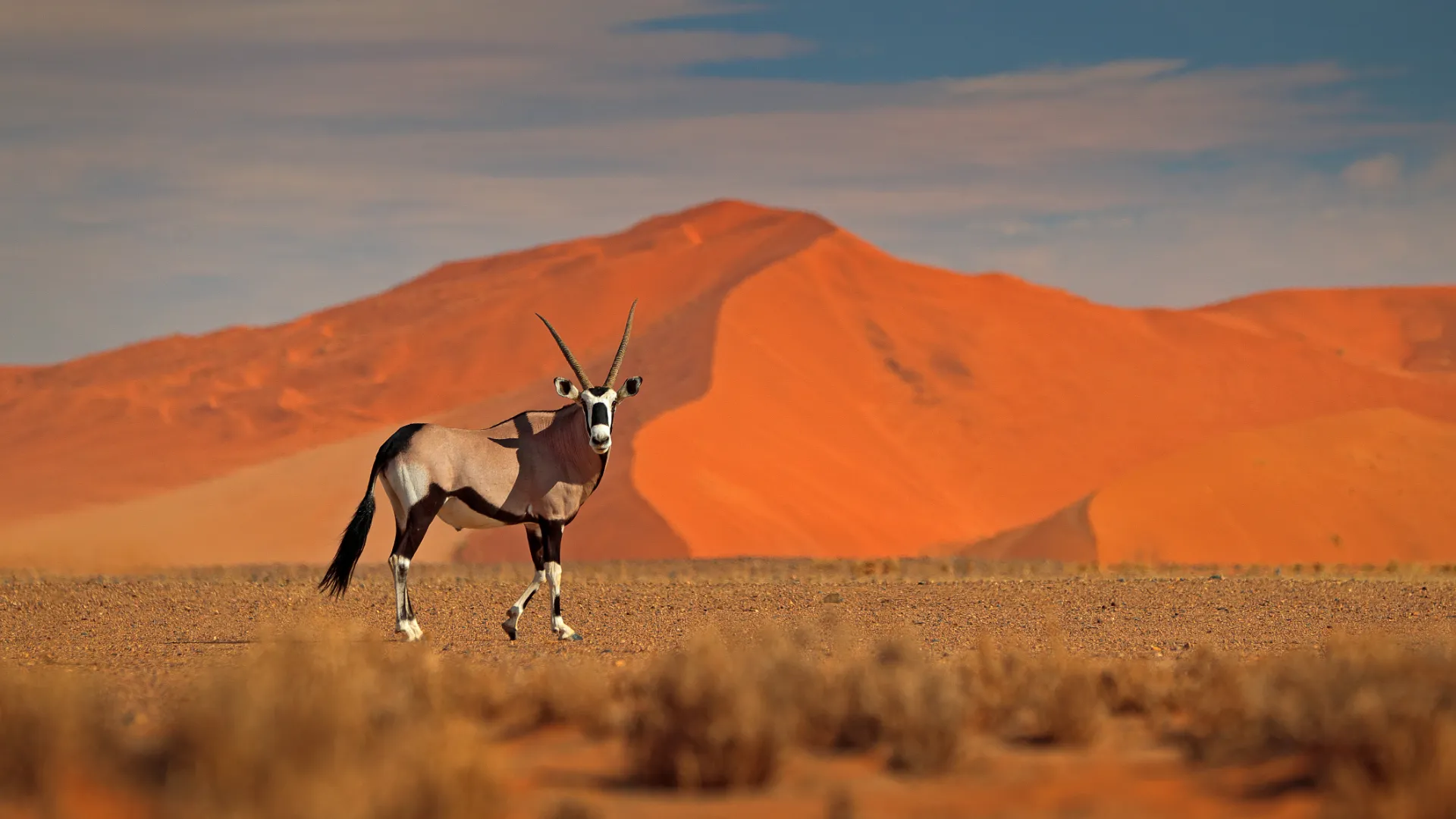 Sossusvlei