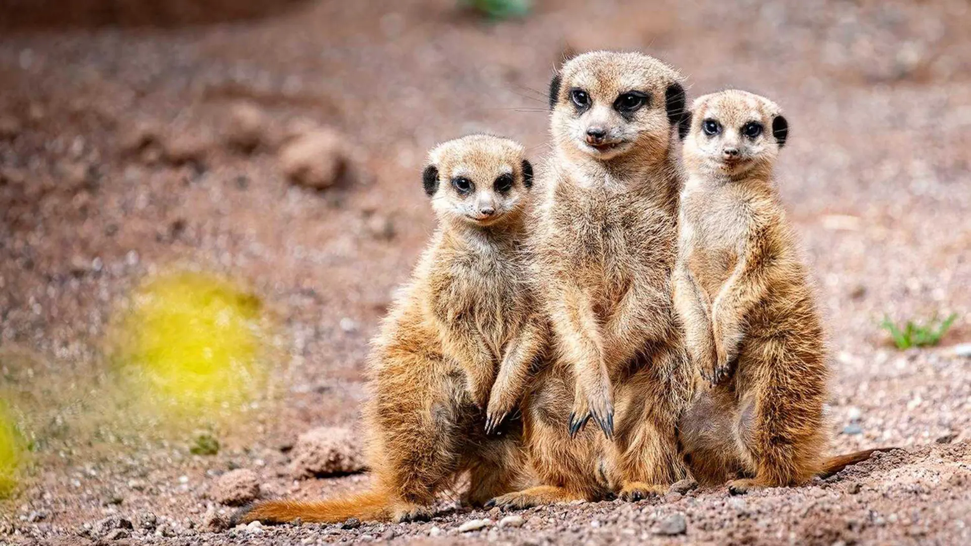 Tierpark Hellabrunn