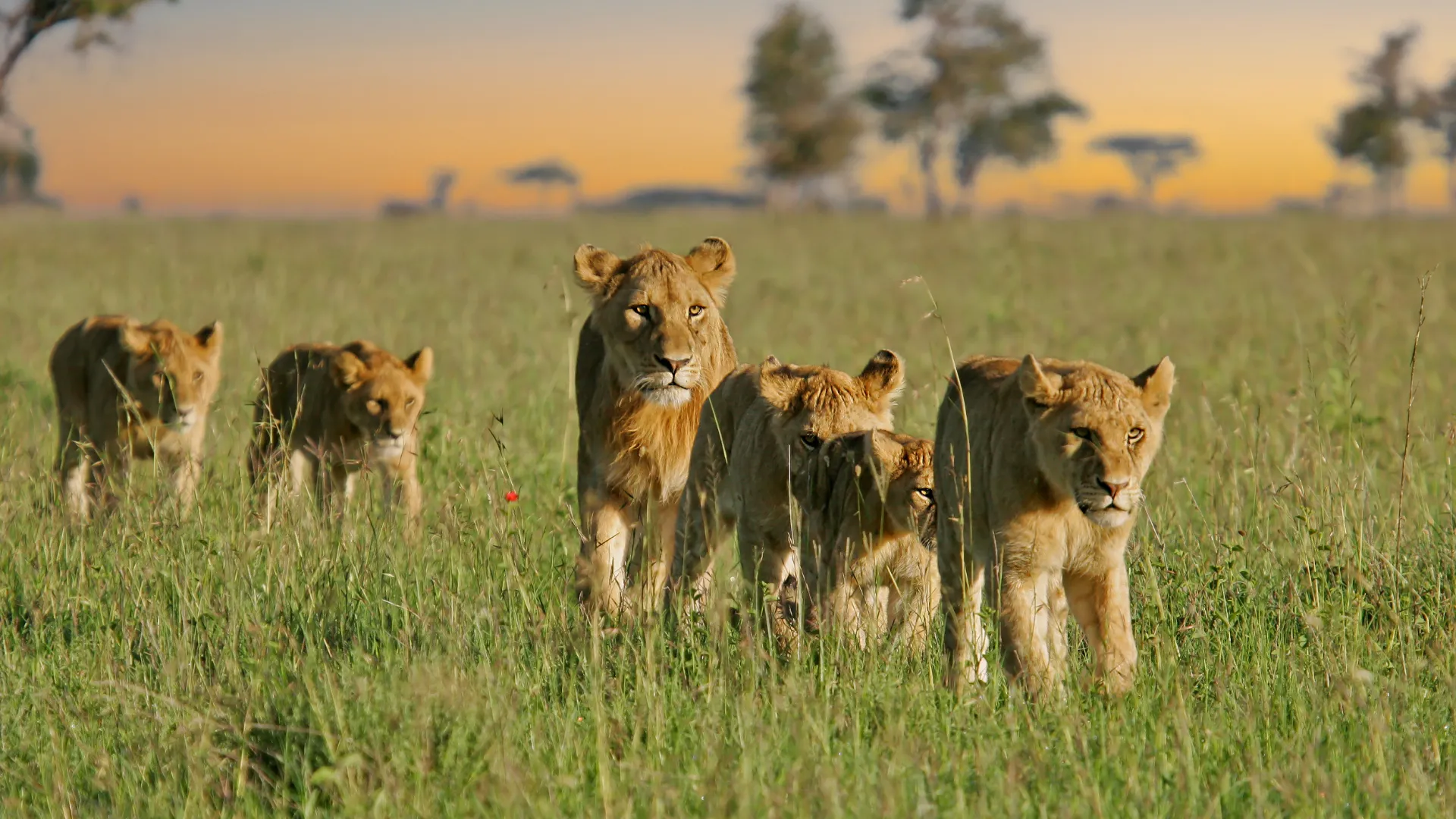 Serengeti-Nationalpark