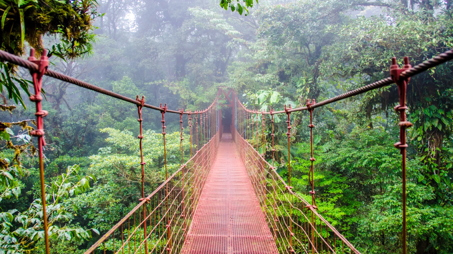 Monteverde, Costa Rica