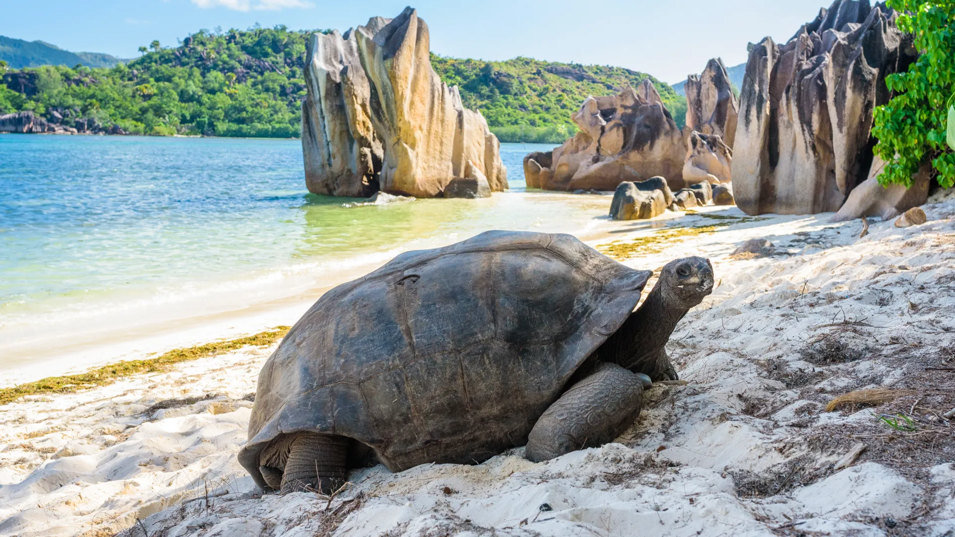 Praslin