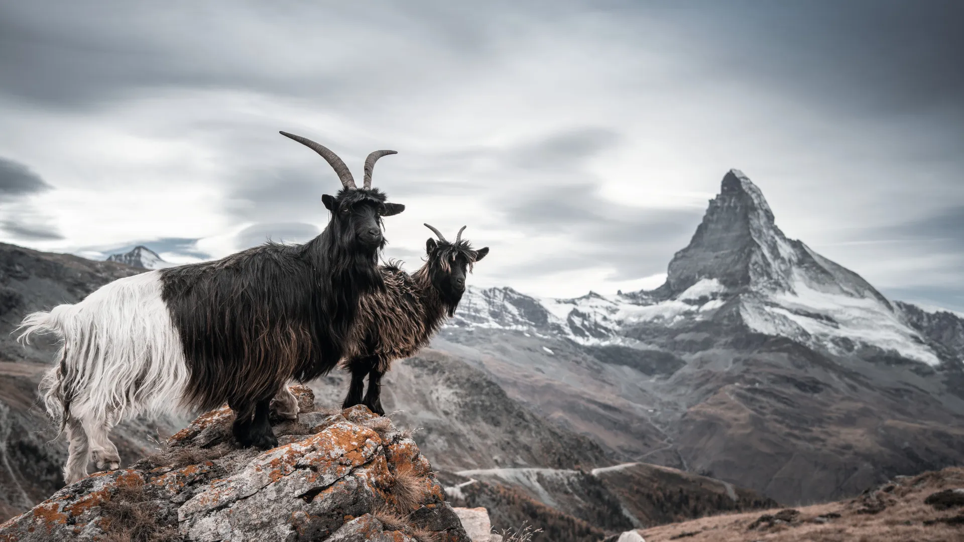 Matterhorn