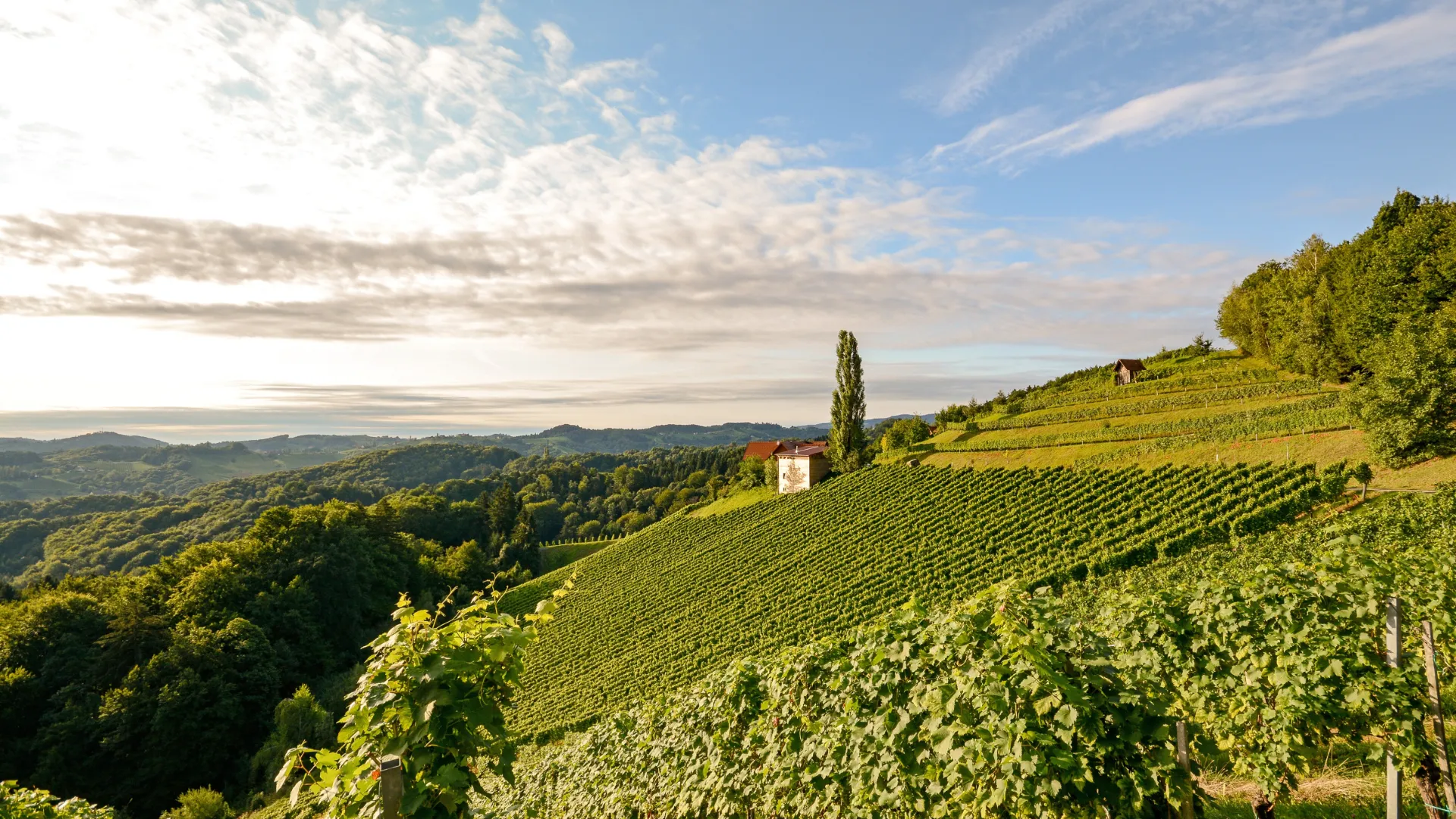 Steiermark