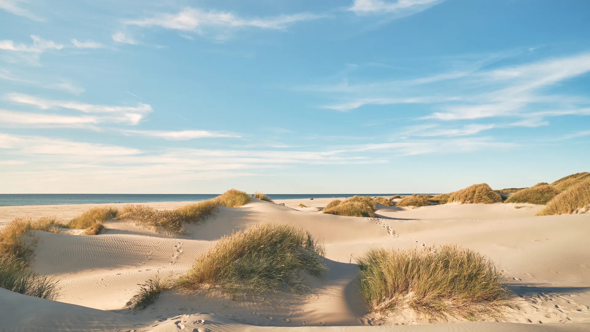 Una spiaggia danese d'estate
