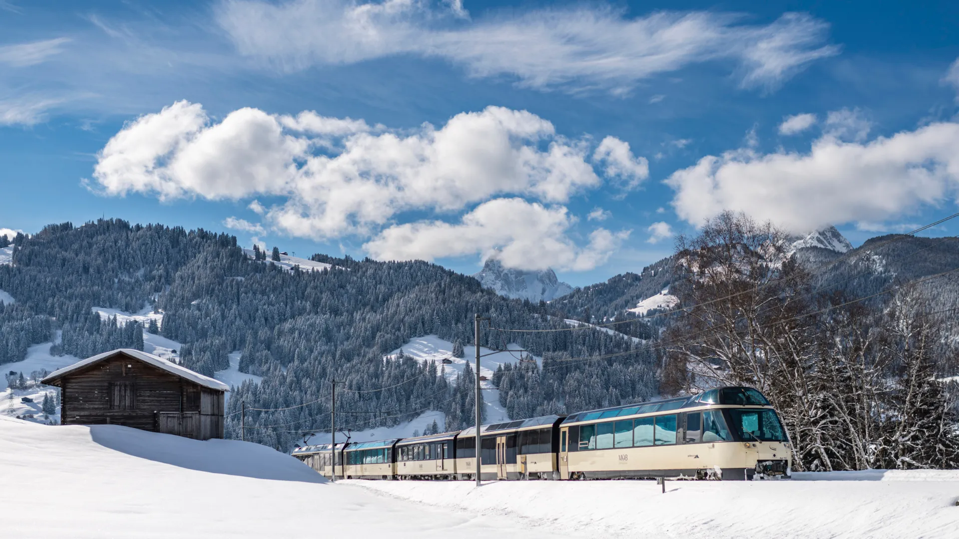 GoldenPass Express