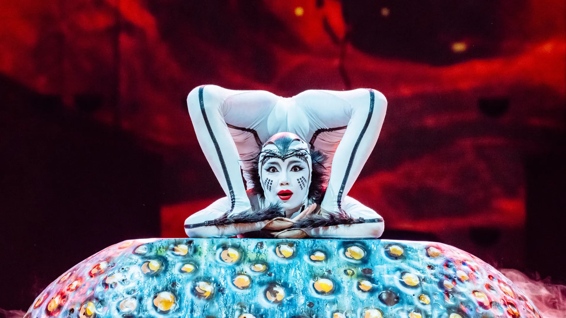 Cirque du Soleil OVO
