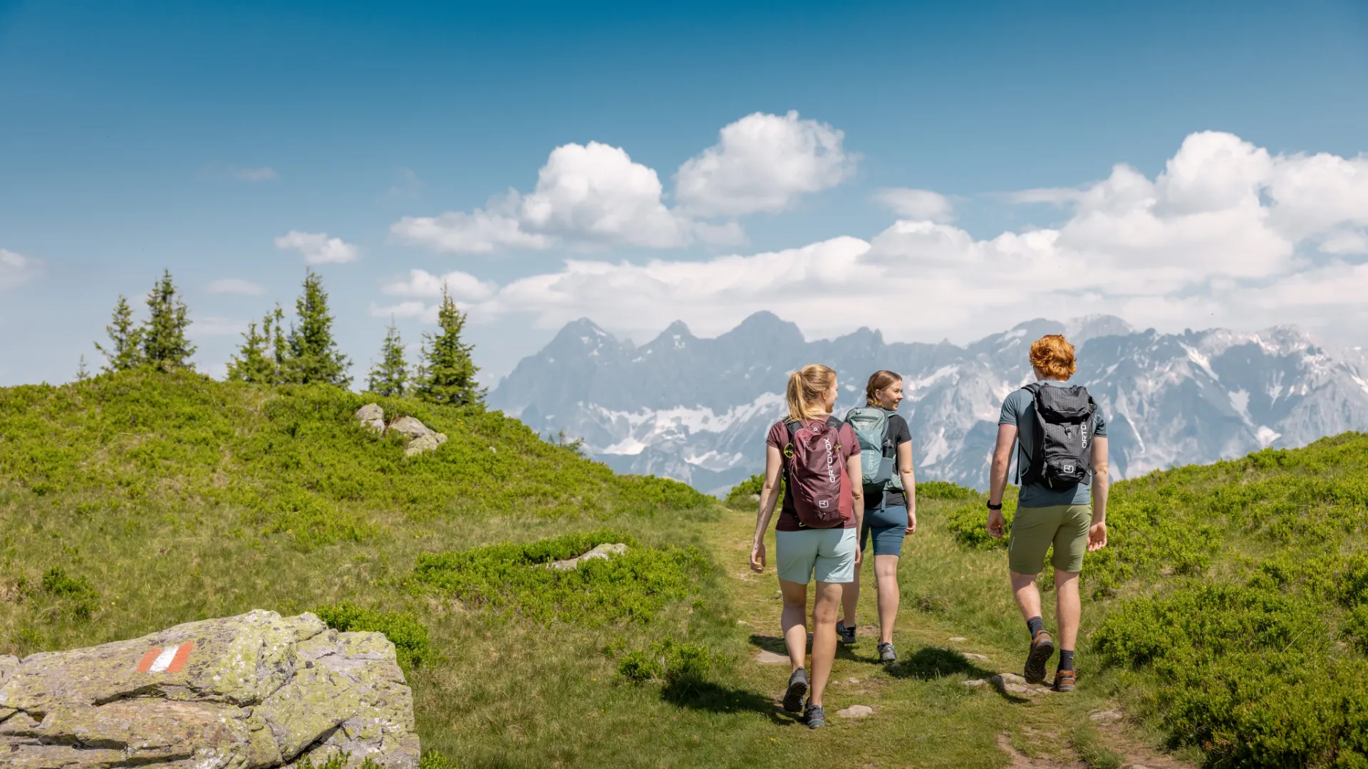 Hochwurzen