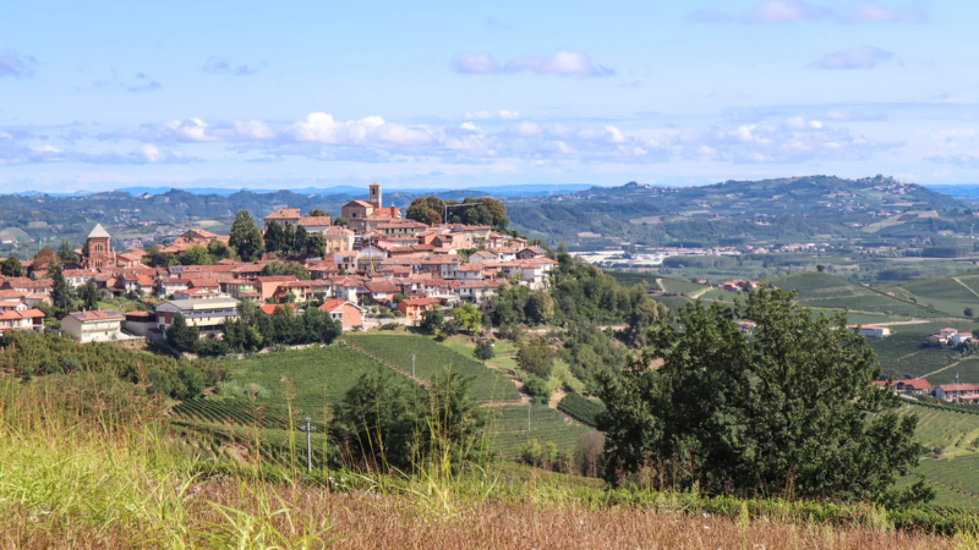 Panorama la Morra  im Piemont