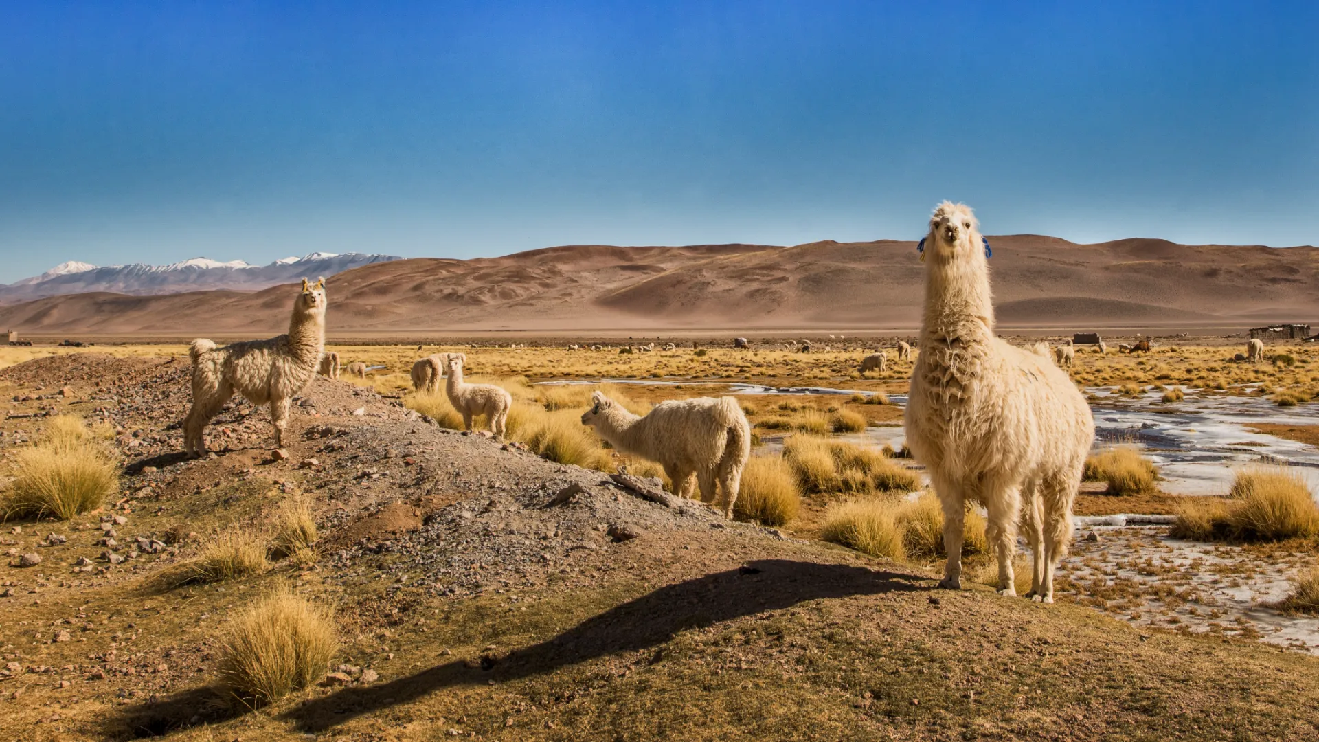 Salta, Argentinien