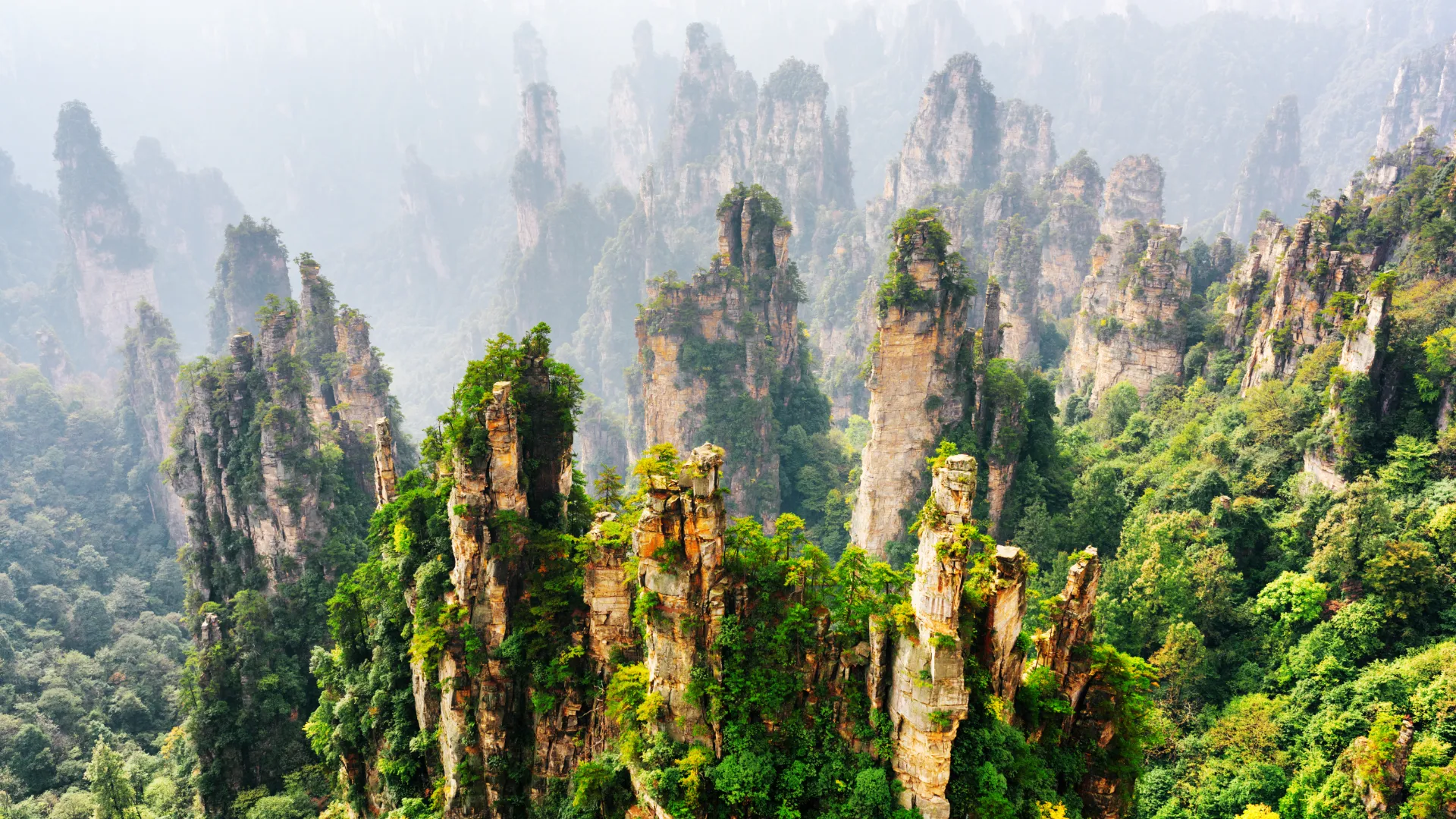 Avatar Landschaft China