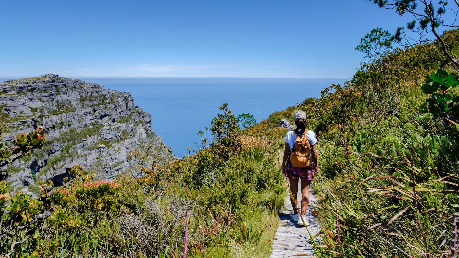 Wanderung am Tafelberg