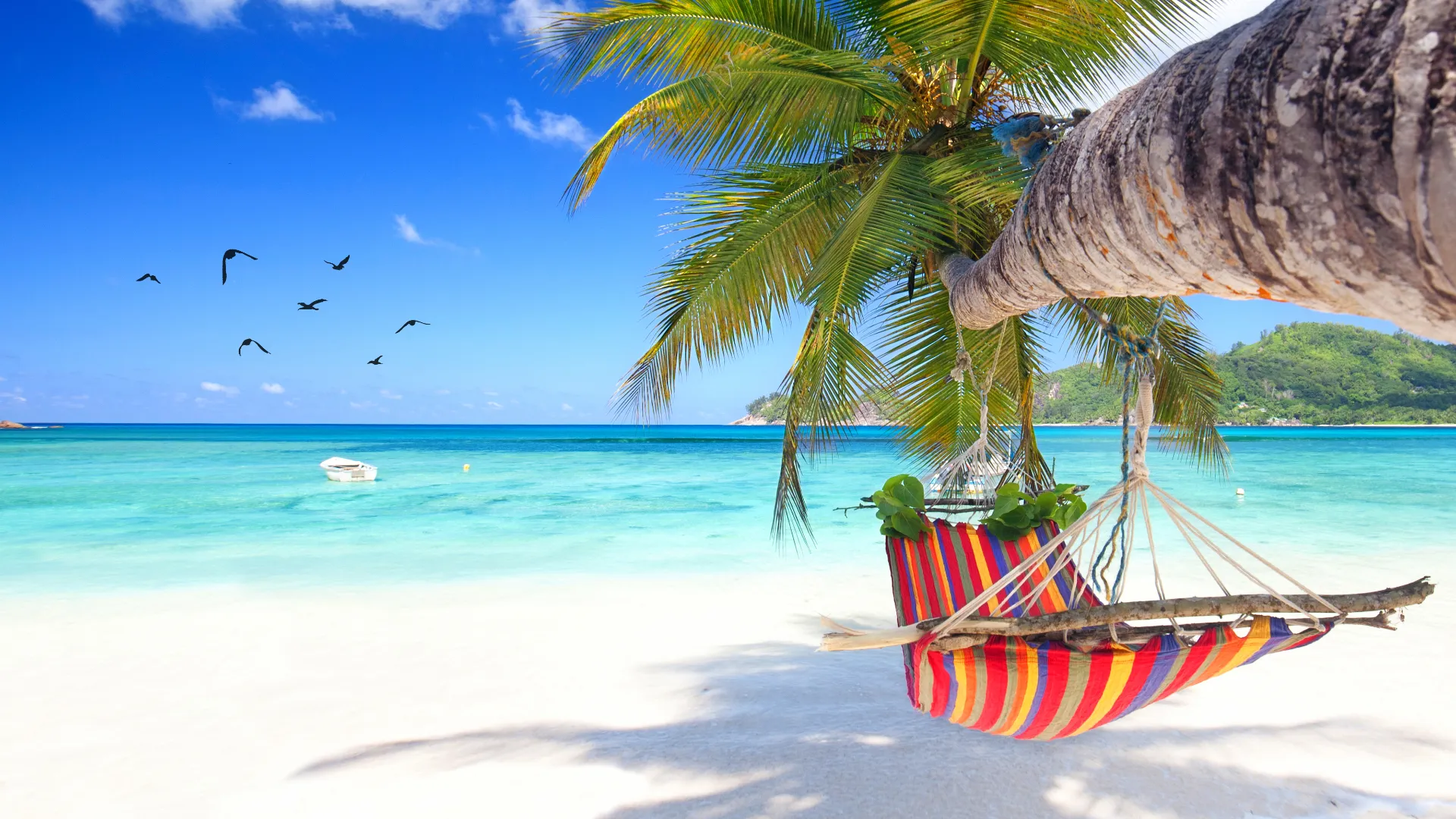Hängematte am Strand