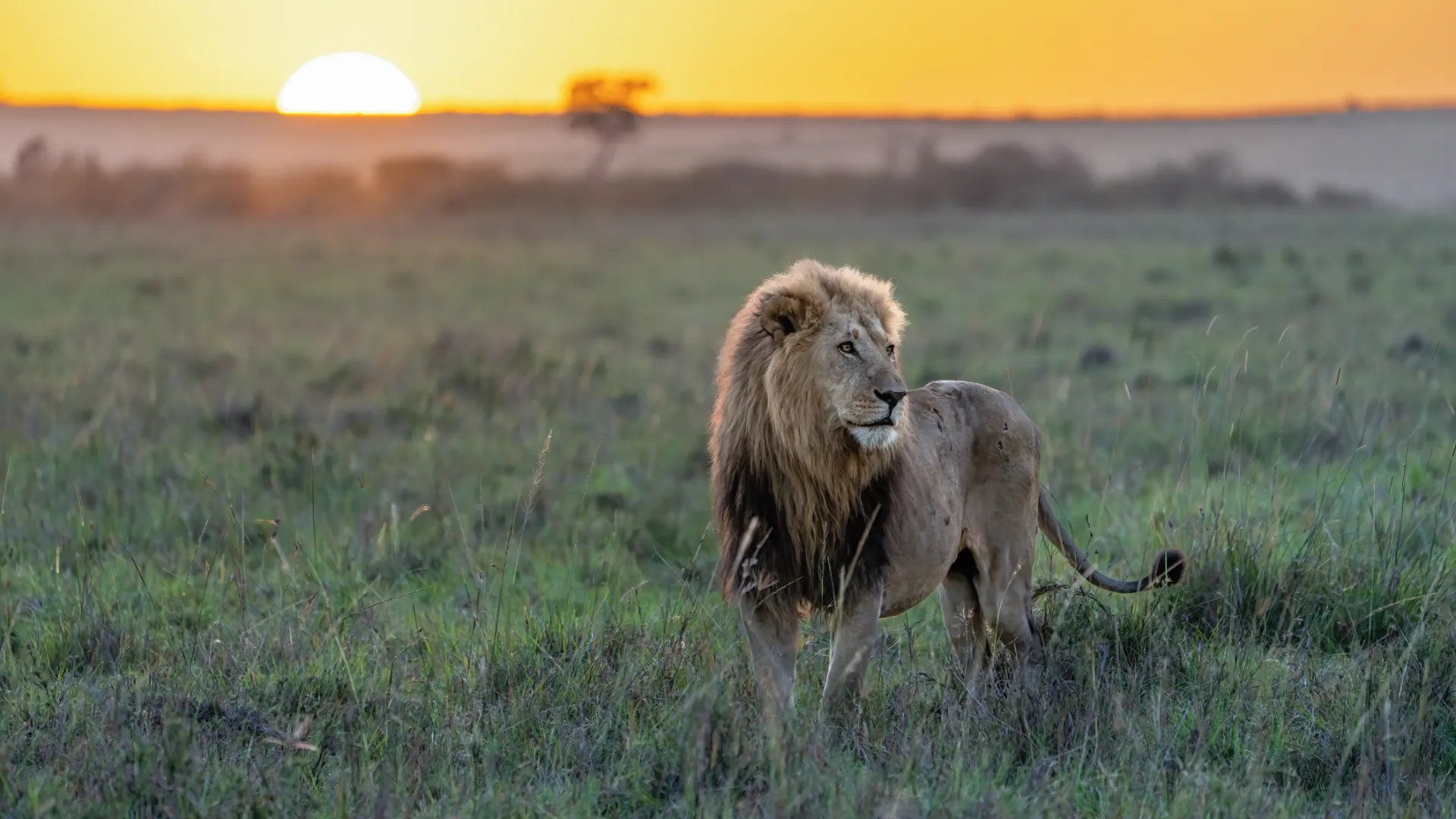 Serengeti-Nationalpark