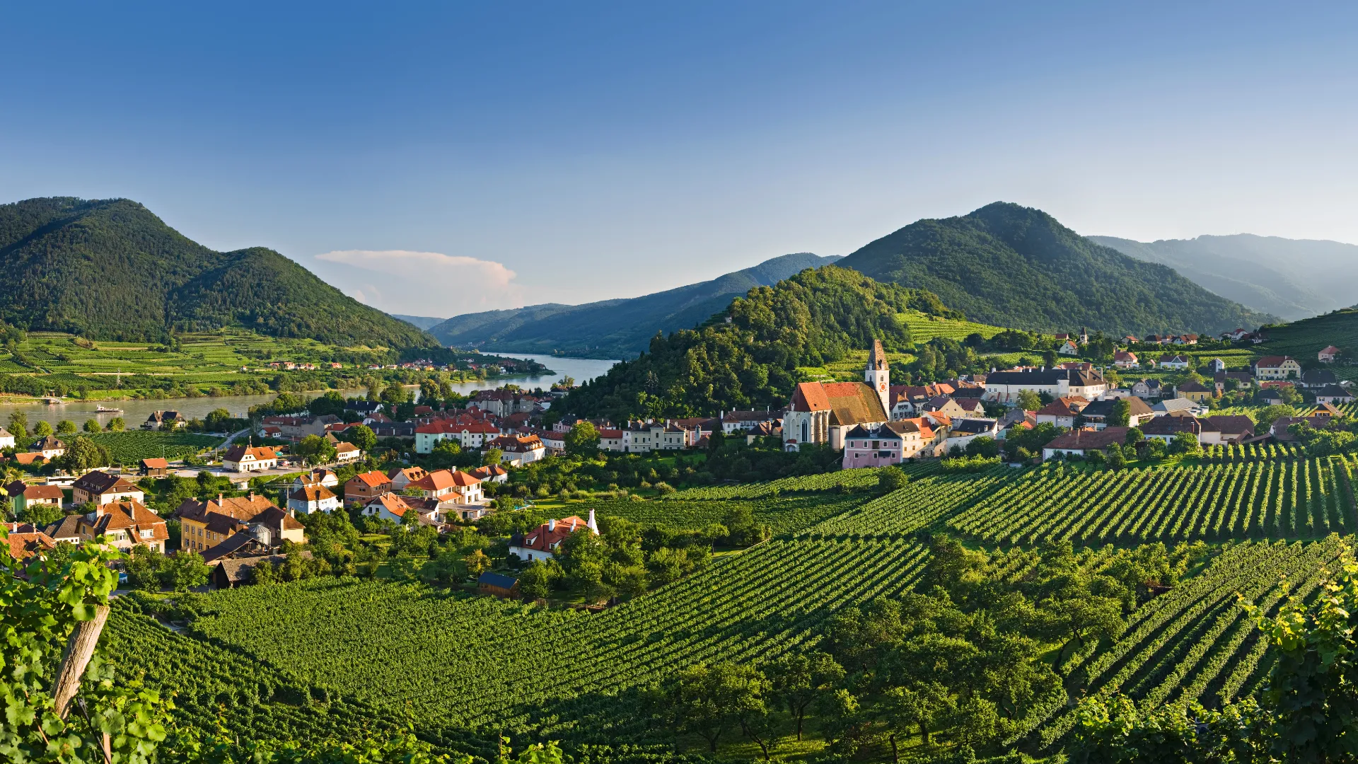 Ausblick auf Wachau in Niederösterreich im Sommer