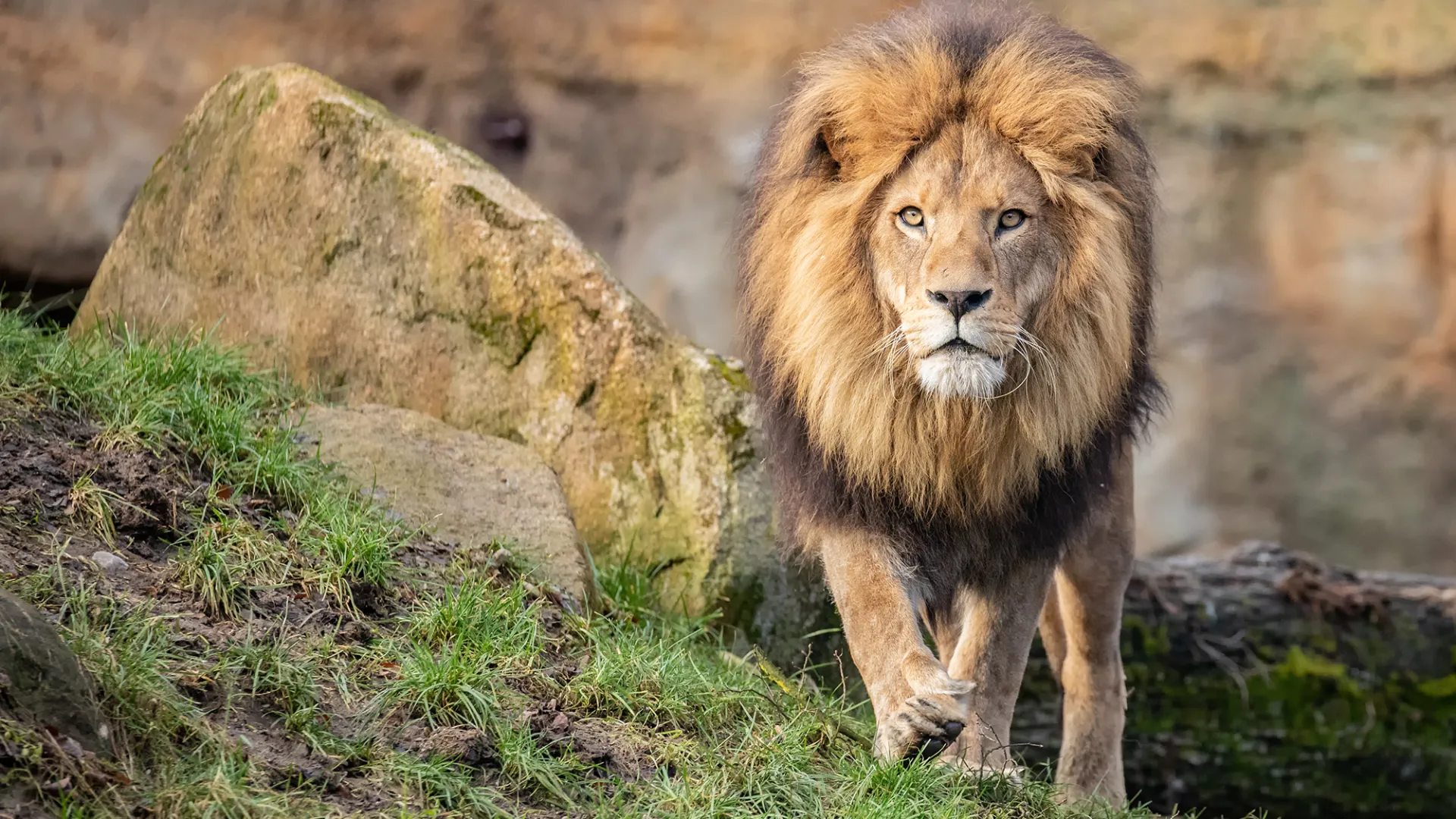 Tierpark Hellabrunn