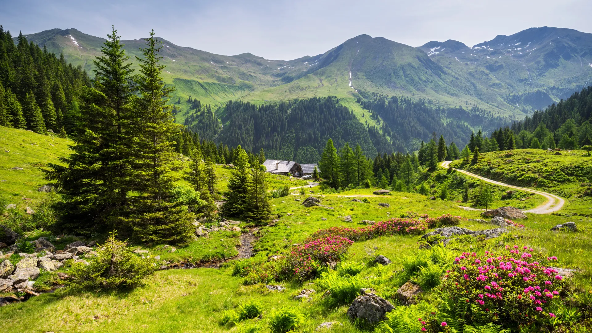 Steiermark