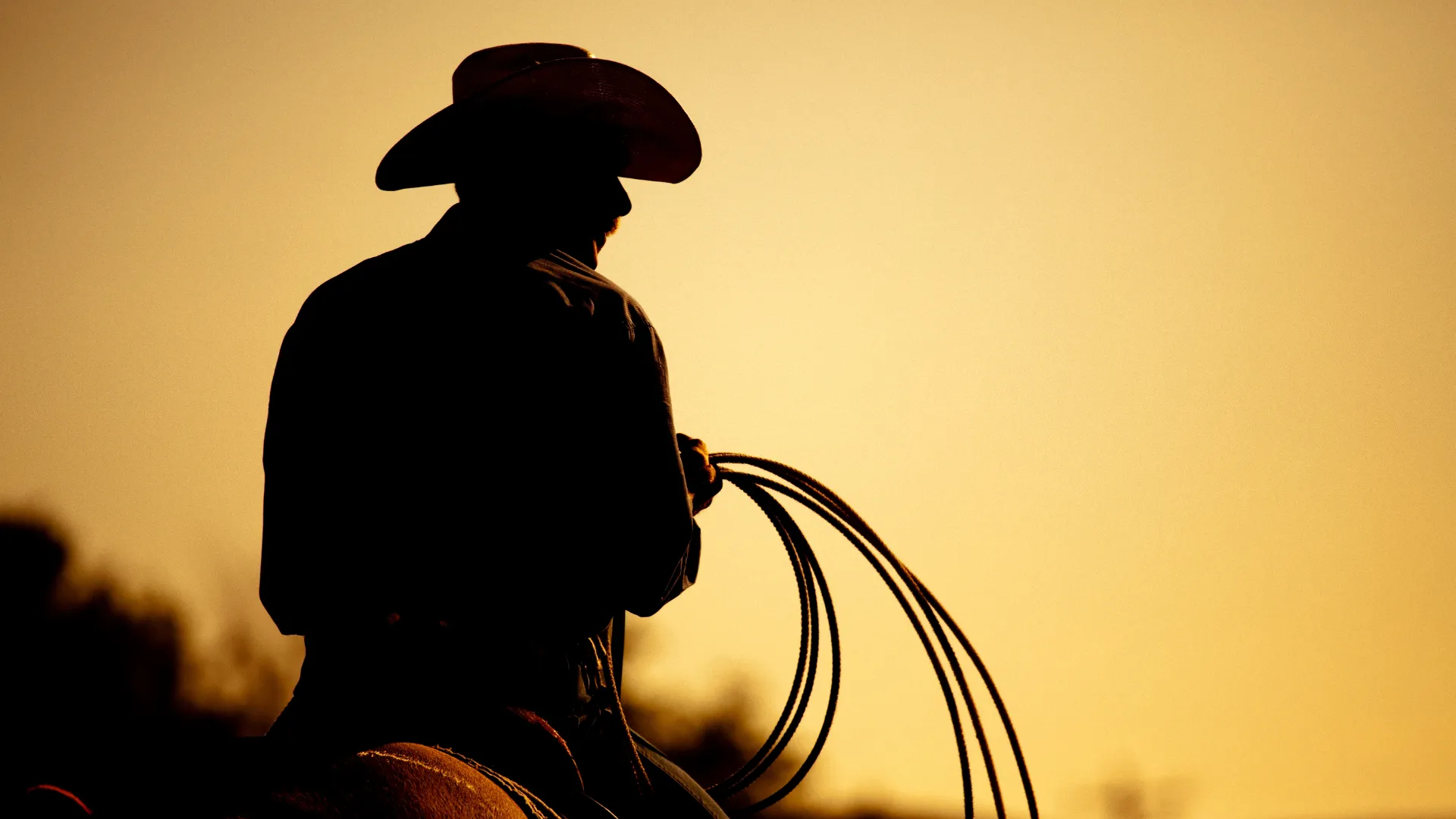 Imagebild-Cowboy