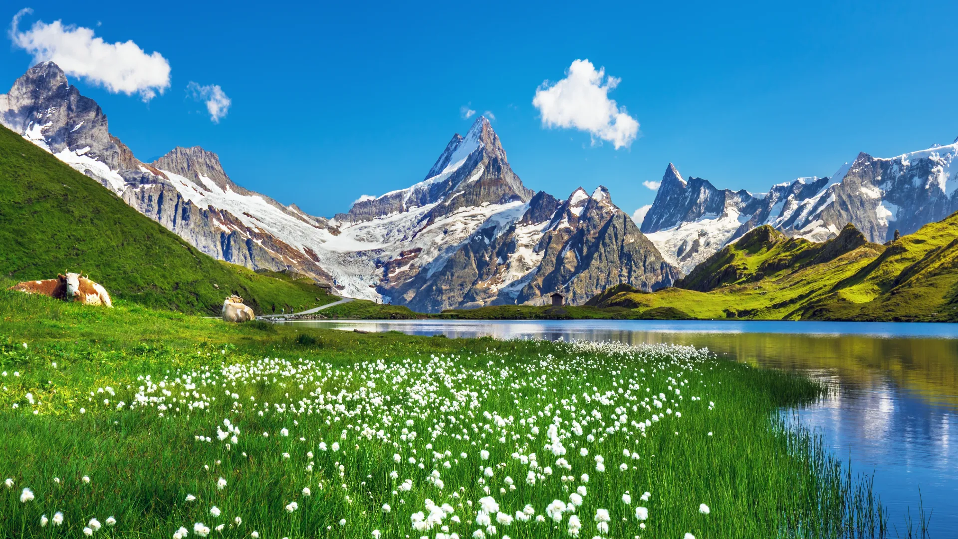 Lago di Bachalp, Svizzera