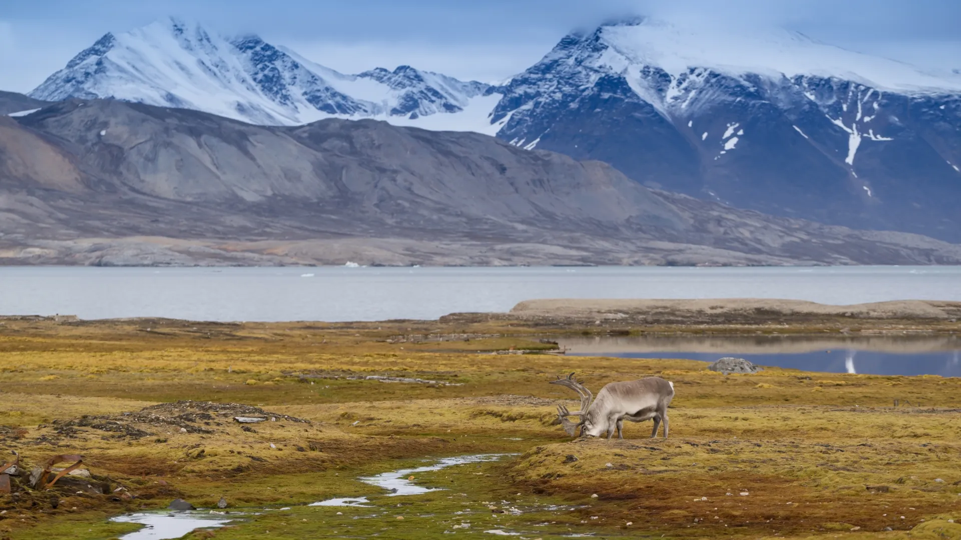 Spitzbergen