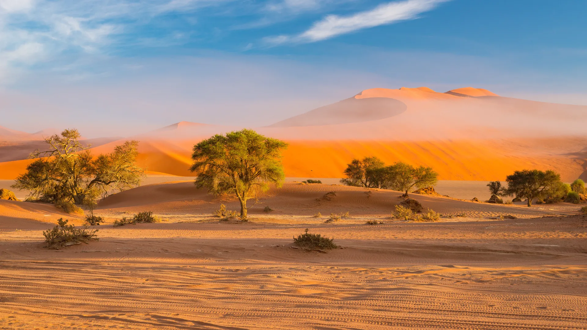 Namib Wüste