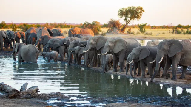 Hwange-Nationalpark