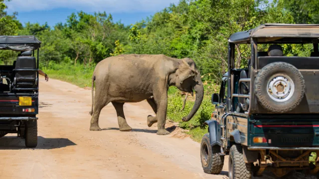 Yala Nationalpark