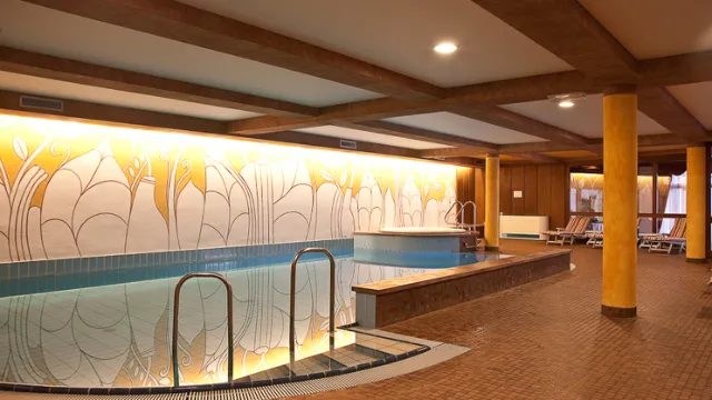Hotel Grüner Baum - Hallenbad