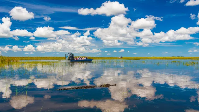 Everglades/ Landschaft mit Airboot