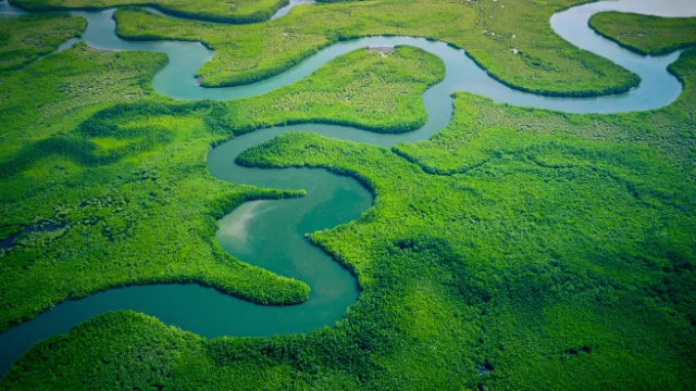 Keur Saloum Delta