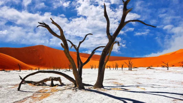 Deadvlei