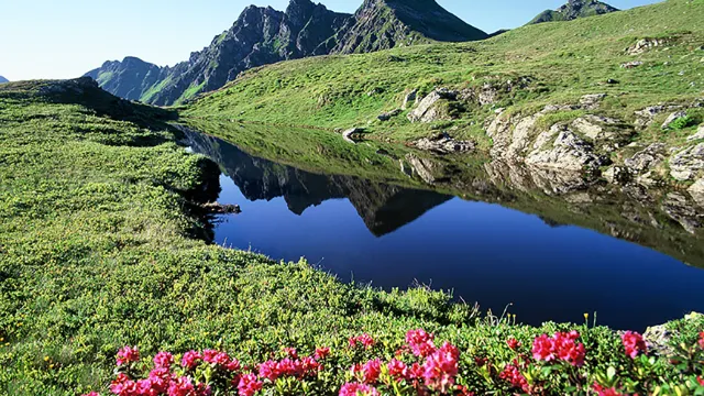Hotel Alphof - Alpbach