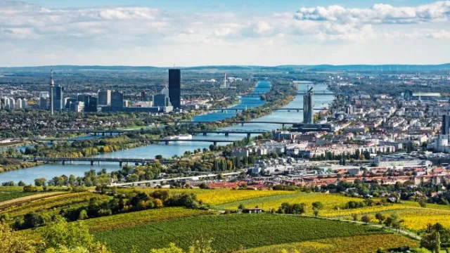 Wienblick auf die Donau mit ihren Brücken