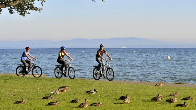 Arbon am Seeufer
