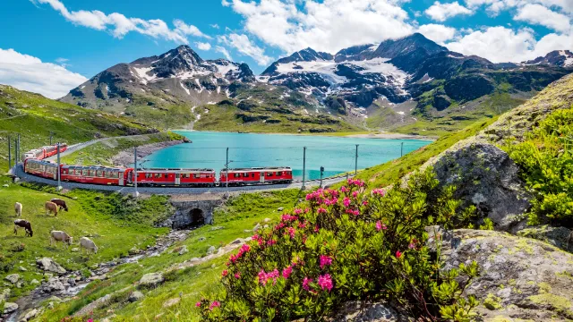 Bernina Express