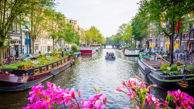 Amsterdam-Gracht-mit-Bumen