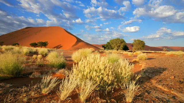 Sossusvlei