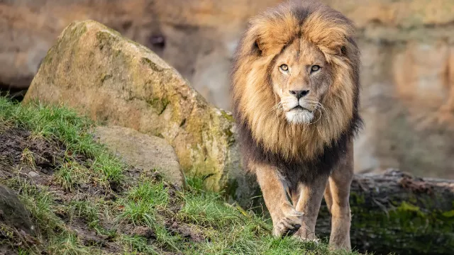 Tierpark Hellabrunn