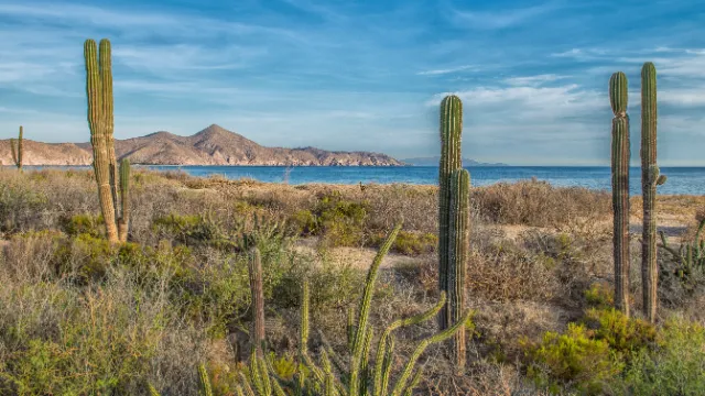 Ensenada